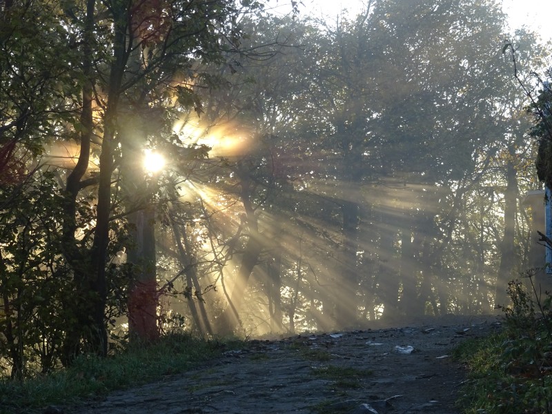 - 46 - Po východu slunce na Luži.jpg
